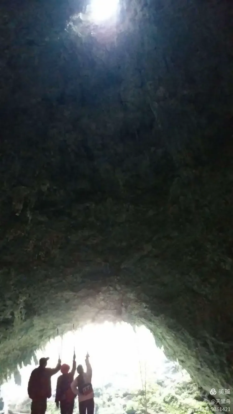 乐业天坑群:世界罕见的地质奇观一喀斯特漏斗群,每个洞都有不同的景观,让你不得不感叹大自然的鬼斧与神工